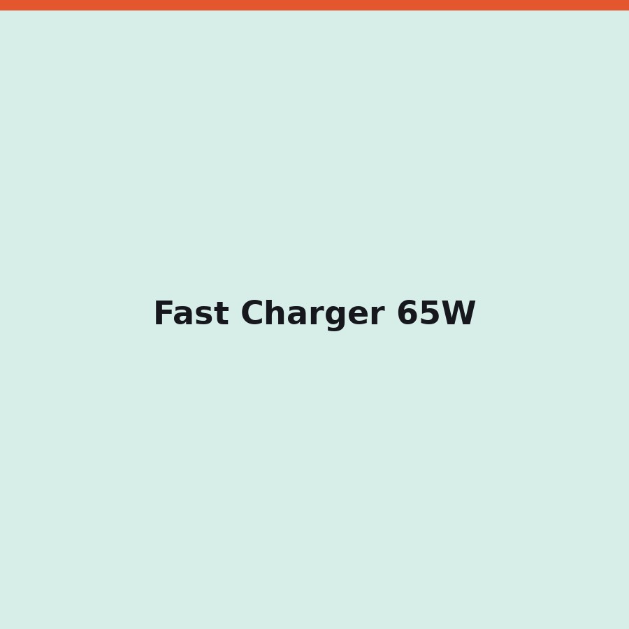 Fast Charger 65W